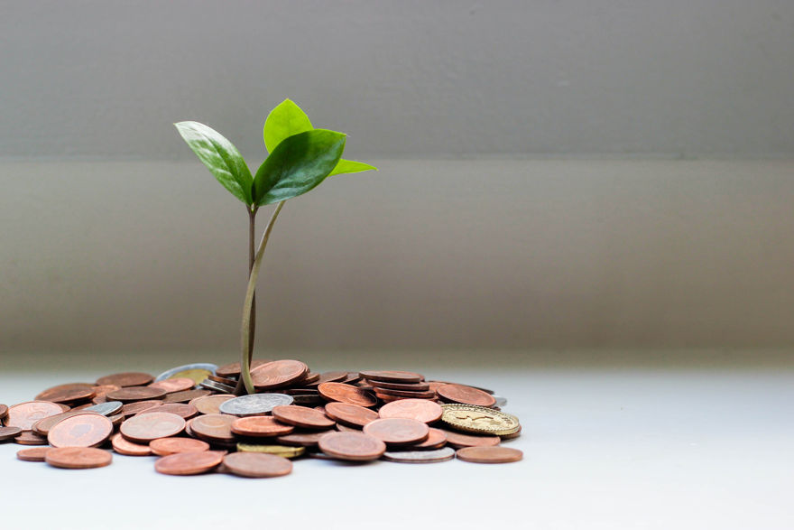 depilazione ed epilazione le differenze